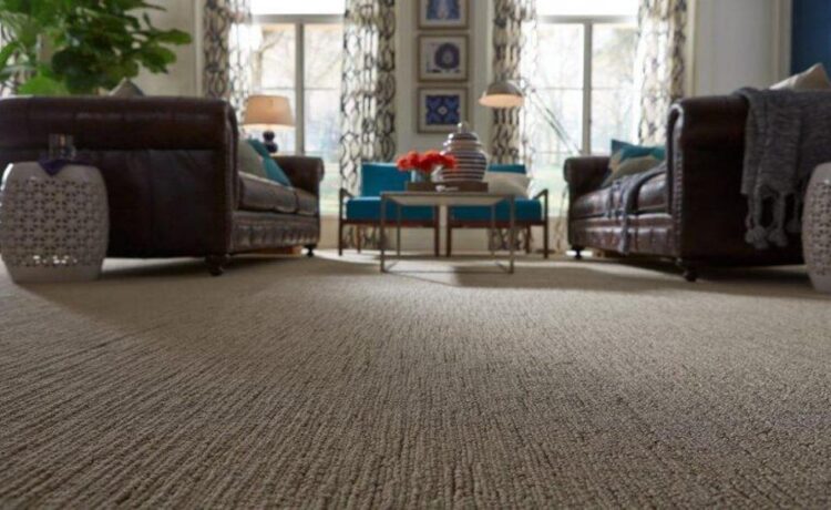 Why Choose Wall-to-Wall Carpets for Your Home