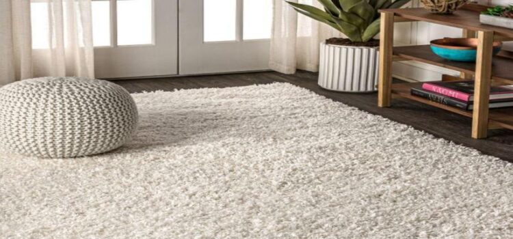 Beneficial Usage of Shaggy Rugs