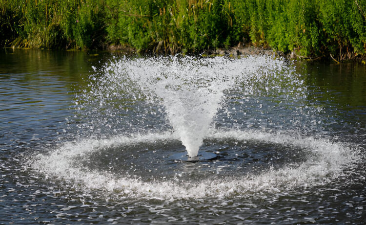 air pumps